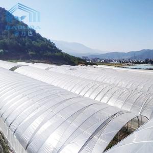 Quality Gotica Personalizzata 150 Micron Pe Film Strawberry Growing Greenhouse Gothic wholesale