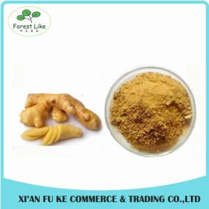 Quality 100% Natural Yellow Ginger Extract Powder 10 :1 wholesale