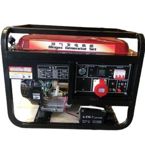 Quality 1500/1800rpm 3kw 5kw Dual Fuel Gasoline and Biogas Small Biogas Generator for Your wholesale
