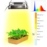 100w Indoor 5x5 Grow Light For Indoor Garden Succulents Plants SMD3030