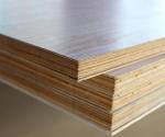 Wood grain melamine Plywood