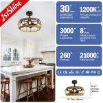 20 Inches Farmhouse Caged Bladeless Ceiling Fan With Light