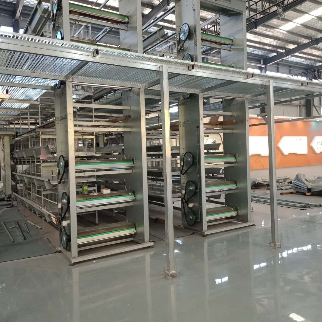 Automatic Control Poultry House Cleanout Equipment , Powerful Poultry Farm Cage