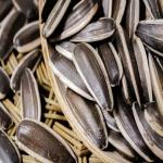 Processing Factory Wholesale High Quality Flavored Sunflower Seeds Hot selling