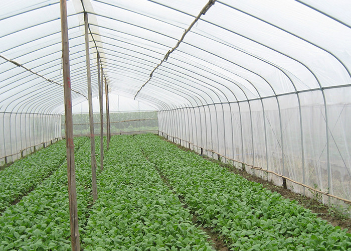Food Grade 600 700 800 Micron Pest Control Netting 80% Filter Mesh