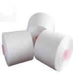 40/2 50/2 60/2 100% Polyester Ring Spun Yarn Raw White , Optical White