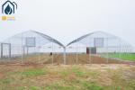 Commercial Tunnel Multi Span Greenhouse High Yield Cultivation Greenhouse