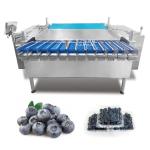Automatic Passion Fruit Kumquat Winter Jujube Plastic Box Packaging Machine