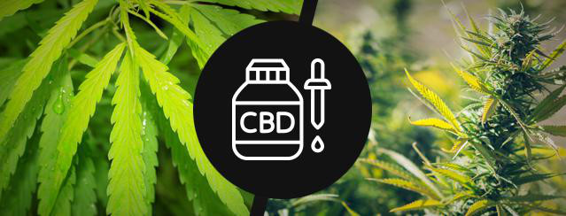 1000Lbs CBD Extraction Machine , Oil Alcohol Extraction Machine
