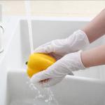 Eco - Friendly Disposable PVC Gloves Personal Protection Plastic Hand Gloves