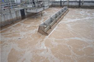 Quality Sequence Batch Reactor Food Processing SBR Wastewater Treatment wholesale