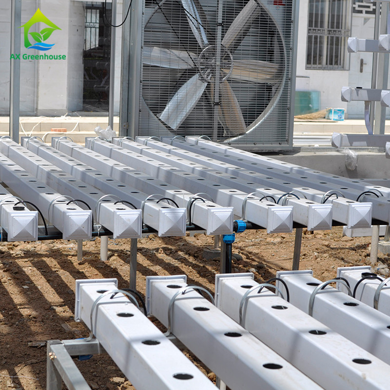 Indoor Farming Custom Soilless NFT Hydroponic System Nutrient Solution Cultivation