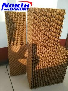 Quality Thailand Bangkok Cumberland | Complete Poultry Systems | Poultry wholesale