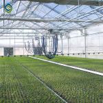 120km/H Polyethylene Film Greenhouse UV Radiation Protection