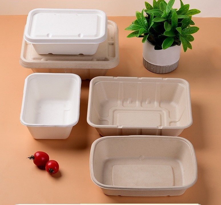 Sugarcane Bagasse Salad Fruit Take Away Food Containers Biodegradable