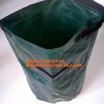 vegetables, fruits, seeds, bedding plants, tomatoes, peppers, cucumbers, tree