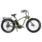 High Torque Electric Beach Cruiser Bike with 750W Brushless Motor and Fat Tire