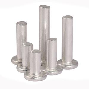 Quality SUS304 / SUS316 Stainless Steel Flat Round Head Rivets Solid wholesale