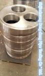 WN Flange , RF