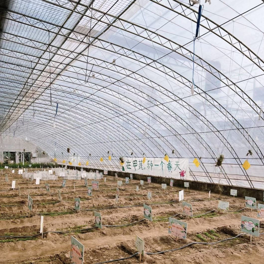 Flower Planting Drip Irrigation Vegetable Sunlight Greenhouse
