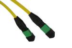 12 core fiber optic cable 50/125 OM2 Multimode Plenum MTP/MPO Fiber Patch Cable