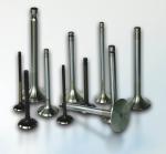 OEM Standrad Intake Exhaust Valves Cummins 6BT Exhaust Engine Valve