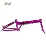 9 Speed Gears Crius 20 inch Master D Folding Road Bike with V Brake and Men