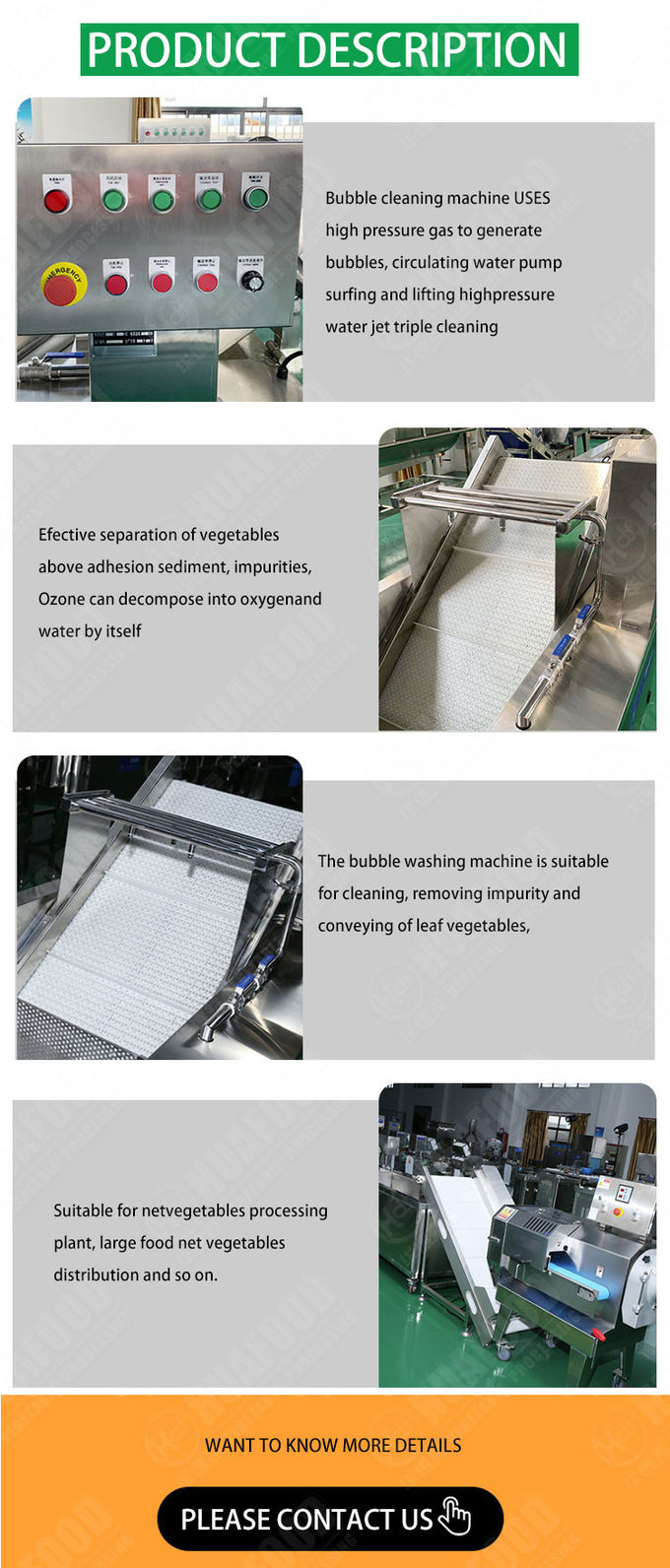 Vegetable Fruit Bubble Washing Machine Fruit Vegetable Ozone Cleaning Machine For Restaurant
