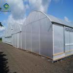 Arch Roof 10.8m PC Sheet Greenhouse Flower Growing