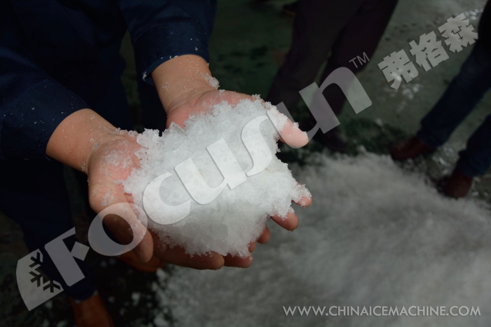 Long Service Life and Performance Ice Crushing Machine for Crushing Block Ice