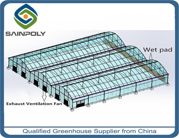 Large Size Tomato Plant Greenhouse Galvanized Steel Skeleton Materials