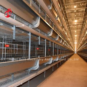 Quality Hot Sale Chicken Battery Cage Brooding cage Broiler cage Poultry Farm In Africa Mia wholesale