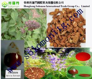 Quality top quality danshen extract free sample --Salvia Miltiorrhizae wholesale