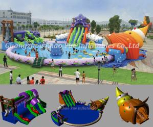 Quality Commercial Grade Curve Inflatable Water Slide for Water Park (CY-M2140) wholesale