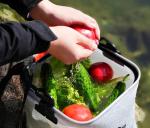 Portable Fishing Water Pail for Camping Traveling Hiking Fishing Boating
