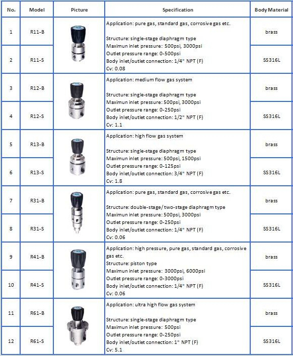 R1100 malaysia ss changeover nitrogen regulators, manual gas panel