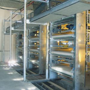 Quality Zinc Alum Farm Cleaning Machine , 2.2kw 3kw H Type Layer Chicken Cage wholesale