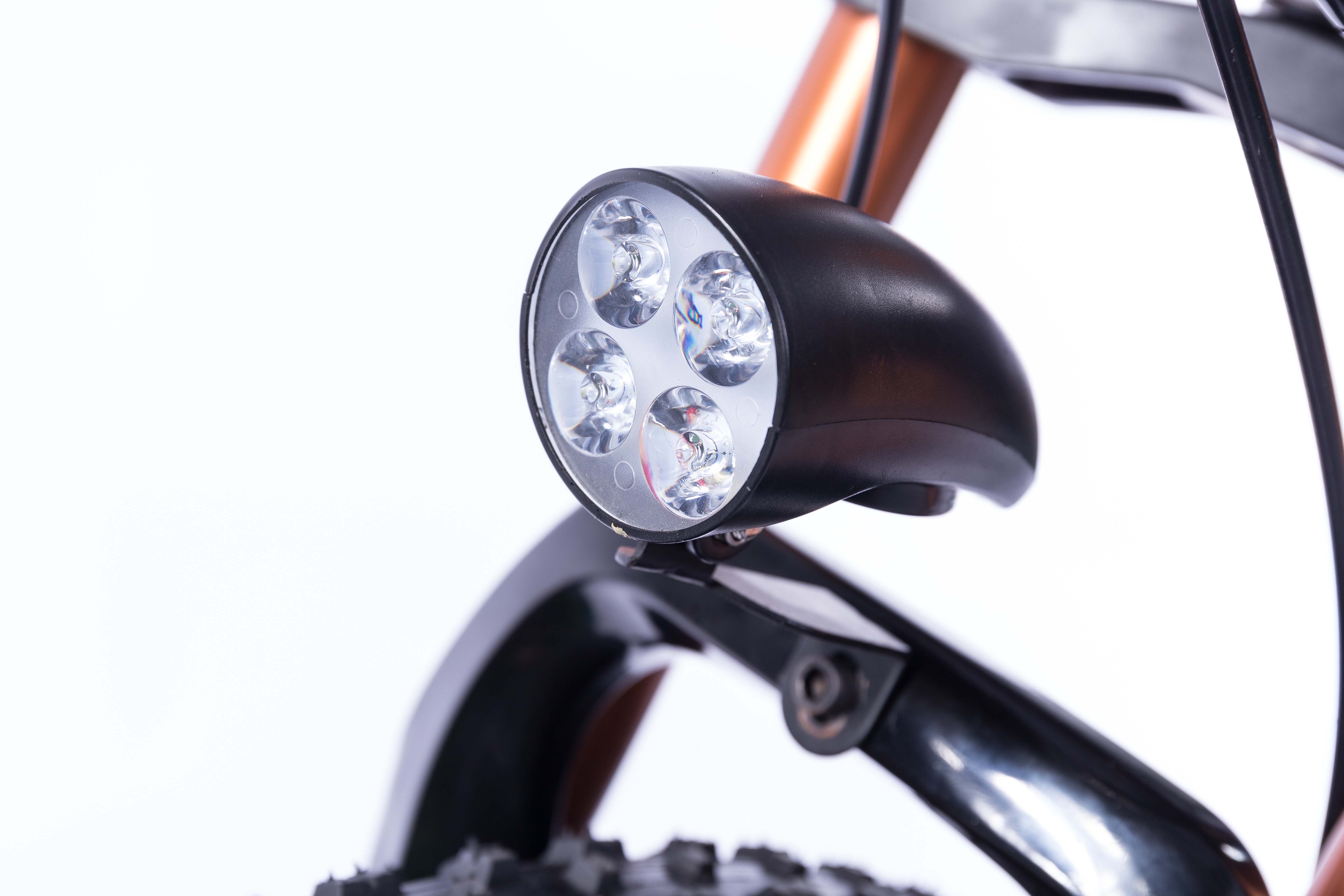 21 Speed Off Road Ebike , Snow Electric Mountain Bicycles Fat Tire 26 Inch