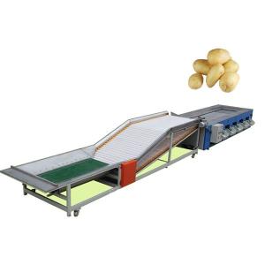 Quality Lemon Fruit Grading System wholesale