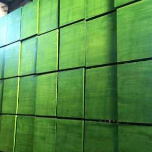Quality WBP Green Plastic Film Faced Plywood For Concrete Formwork Construction wholesale