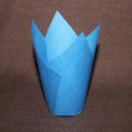Sky Blue baking tulip cup wholesales