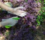 Hygienic Anti Allergic Disposable TPE Gloves For Household Cleaning