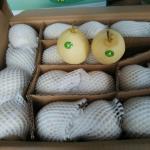 HACCP Yellow Chinese White Pear Juice Pome Fruit