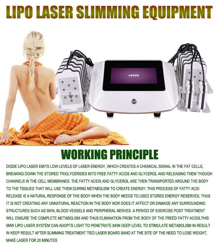 Ultrasonic Lipo Laser Face Rf Beauty 40k Cavitation Machine