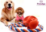 Plush Toys Light Up Ball Dogs Chew Laser Pointer Favorite Taste Good An Animal