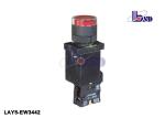 Automotive Momentary Push Button Switch 660 VAC LAY5（XB2）-EW3342