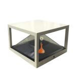 AC 110 - 240V 4 Sided 3D Holographic Display 19 Inch 1280 X 1040 Resolution