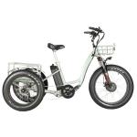 Aluminum Alloy Frame 48V 500W 3 Wheels Electric Cargo Tricycle with 24"x4.0 Fat
