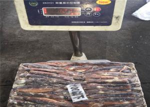 Quality Illex Argentinus Fresh Frozen Squid wholesale
