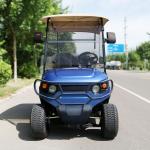 Luxury Blue 2 Seater Electric Golf Cart Lead-Acid Battery Lithium Battery